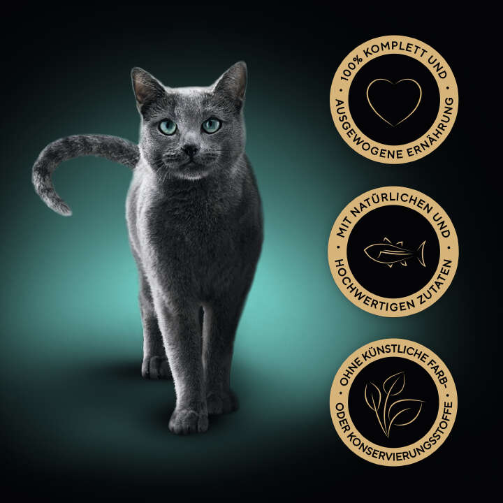 Sheba Katzen-Nassfutter Collection Sauce Lover mit Thunfisch MSC